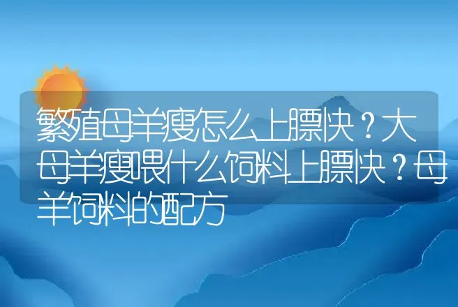 繁殖母羊瘦怎么上膘快？大母羊瘦喂什么饲料上膘快？母羊饲料的配方 | 家畜养殖