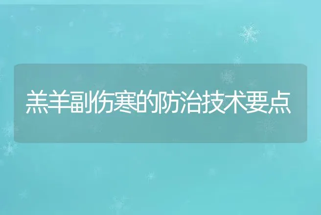 羔羊副伤寒的防治技术要点 | 动物养殖