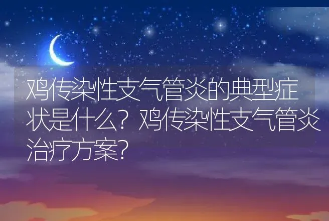 鸡传染性支气管炎的典型症状是什么？鸡传染性支气管炎治疗方案？ | 兽医知识大全