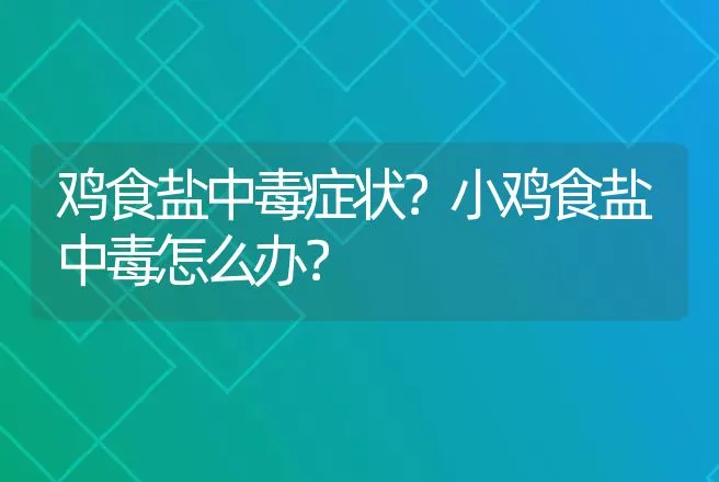 鸡食盐中毒症状？小鸡食盐中毒怎么办？ | 兽医知识大全