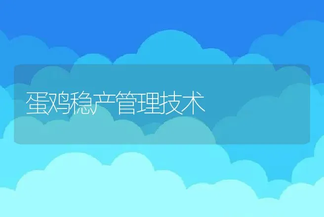 蛋鸡稳产管理技术 | 动物养殖