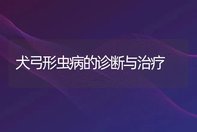 犬弓形虫病的诊断与治疗 | 动物养殖