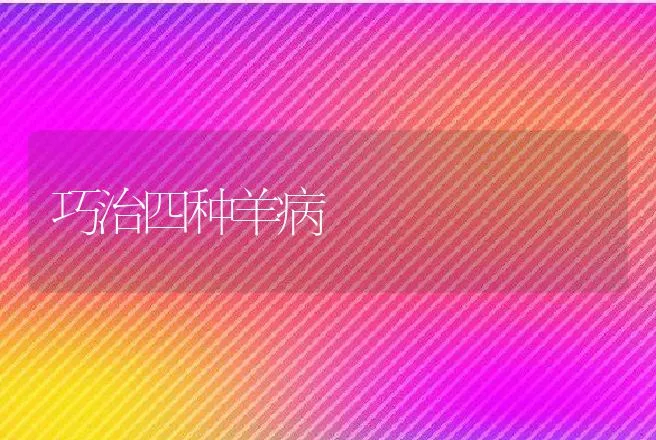 巧治四种羊病 | 动物养殖