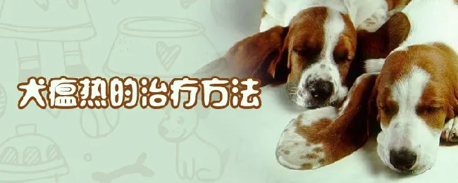 犬瘟热的治疗方法 | 宠物病虫害防治