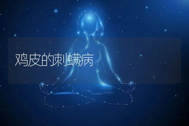 鸡皮的刺螨病 | 动物养殖