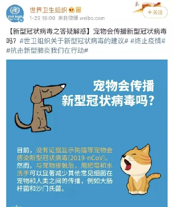 有宠环境｜谨慎，别让“消毒”变“投毒” | 宠物狗病虫害防治