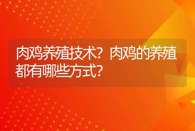 肉鸡养殖技术？肉鸡的养殖都有哪些方式？ | 家禽养殖