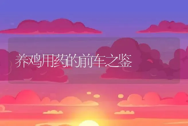 养鸡用药的前车之鉴 | 动物养殖