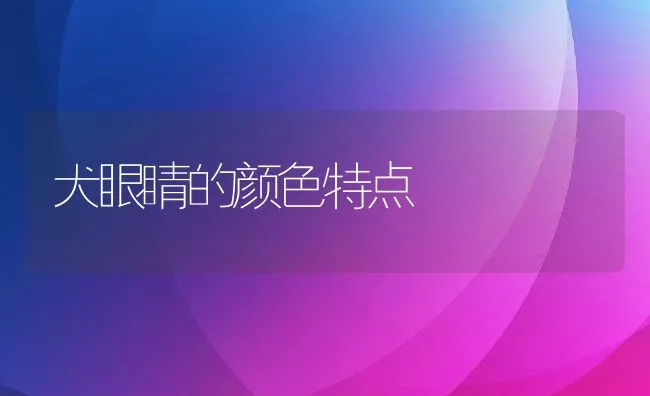 犬眼睛的颜色特点 | 宠物病虫害