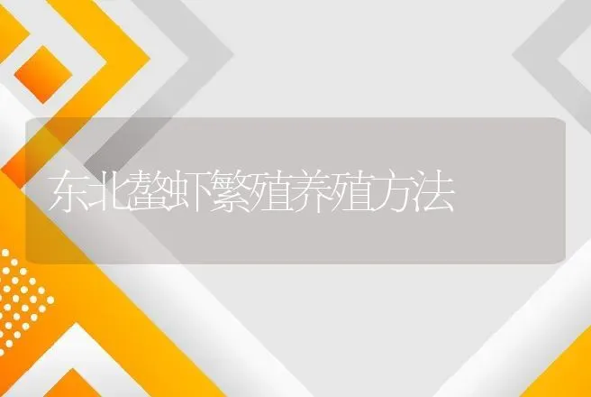 东北螯虾繁殖养殖方法 | 动物养殖