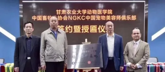 NGKC获得高校认证，更多宠物行业“高精尖”人才即将诞生 | 宠物行业洞察