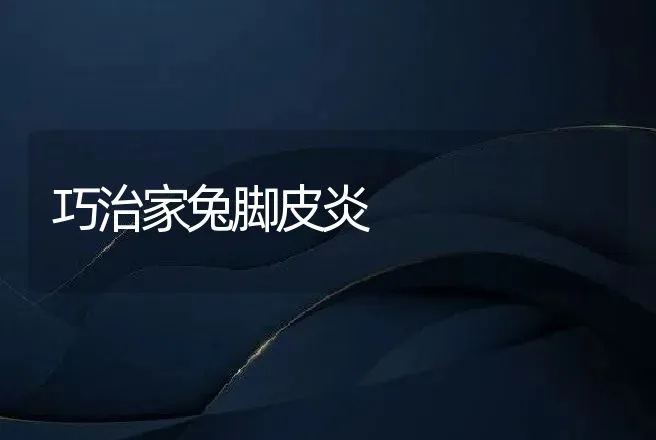 巧治家兔脚皮炎 | 动物养殖