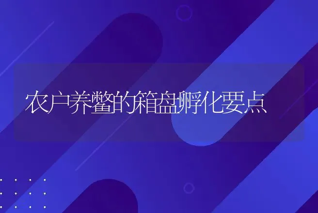 农户养鳖的箱盘孵化要点 | 动物养殖