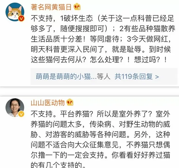 广州塔想模仿故宫靠养猫蹭流量，这事儿行得通吗！ | 宠物新闻资讯