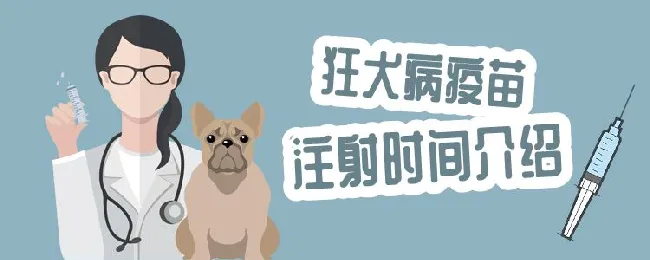 狂犬病疫苗注射时间介绍 | 宠物病虫害防治