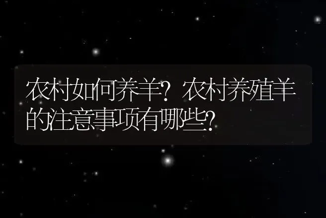 农村如何养羊?农村养殖羊的注意事项有哪些？ | 家畜养殖