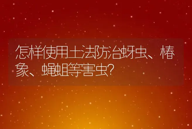 怎样使用土法防治蚜虫、椿象、蝇蛆等害虫？ | 动物养殖