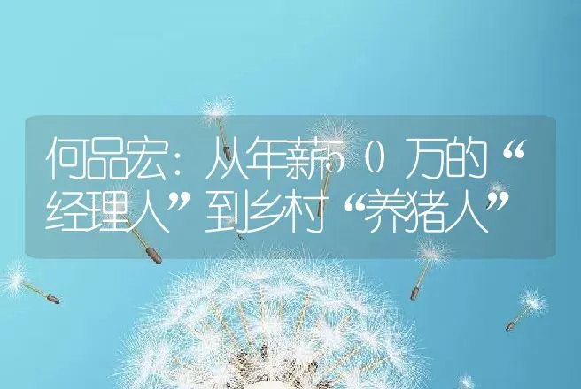 何品宏：从年薪50万的“经理人”到乡村“养猪人” | 养殖致富