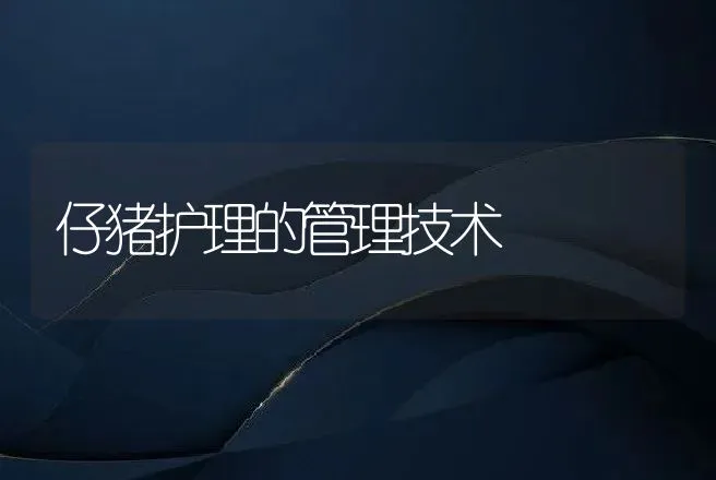 仔猪护理的管理技术 | 动物养殖