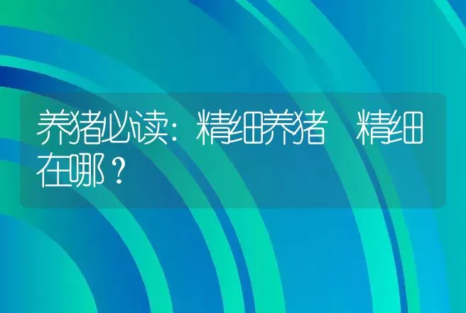 养猪必读：精细养猪 精细在哪？ | 家畜养殖