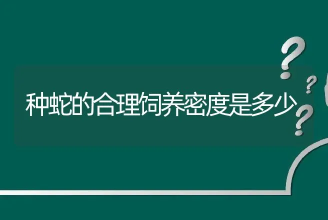 种蛇的合理饲养密度是多少 | 动物养殖