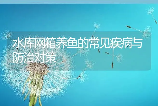 水库网箱养鱼的常见疾病与防治对策 | 动物养殖