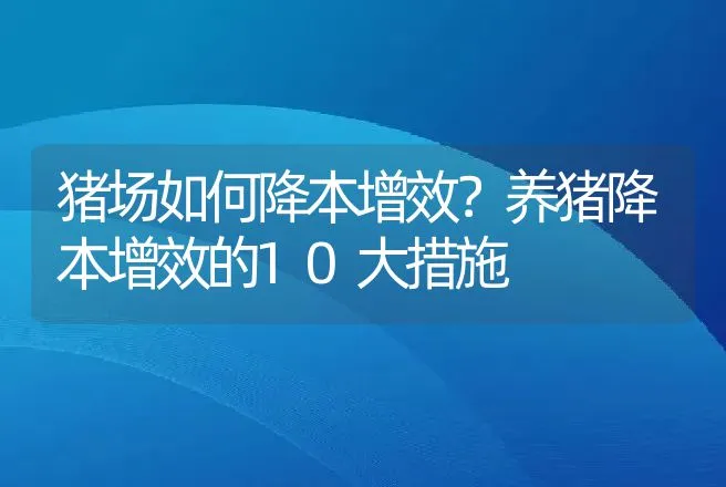 猪场如何降本增效？养猪降本增效的10大措施 | 家畜养殖