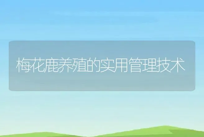 梅花鹿养殖的实用管理技术 | 动物养殖