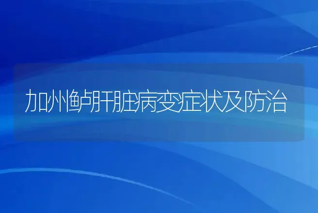 加州鲈肝脏病变症状及防治 | 动物养殖