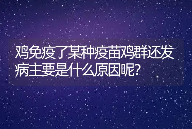 鸡免疫了某种疫苗鸡群还发病主要是什么原因呢？ | 动物养殖