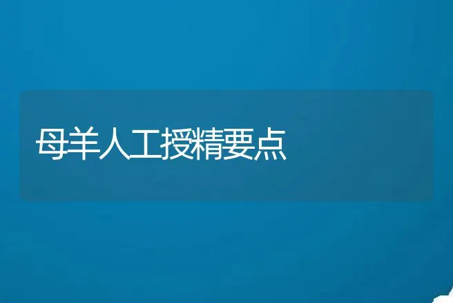 母羊人工授精要点 | 动物养殖