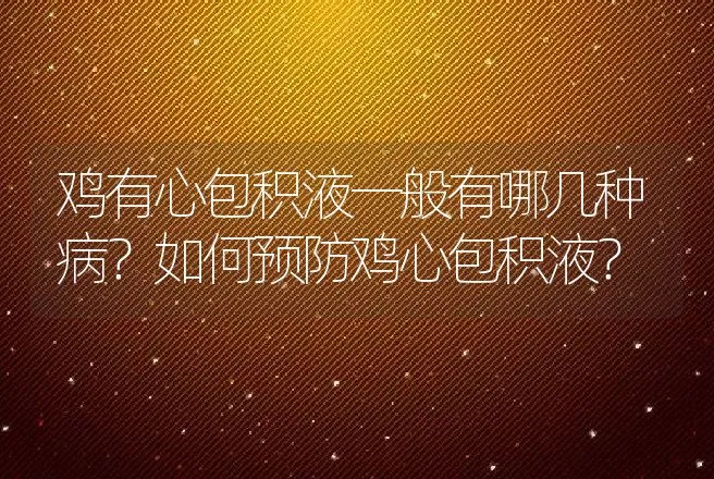 鸡有心包积液一般有哪几种病？如何预防鸡心包积液？ | 兽医知识大全