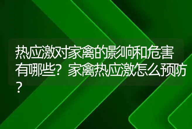 热应激对家禽的影响和危害有哪些？家禽热应激怎么预防？ | 兽医知识大全