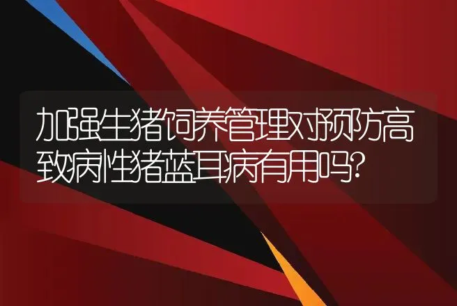 加强生猪饲养管理对预防高致病性猪蓝耳病有用吗? | 动物养殖