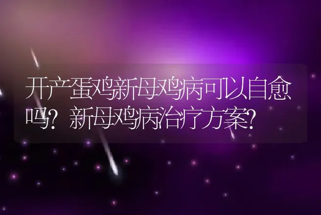 开产蛋鸡新母鸡病可以自愈吗？新母鸡病治疗方案？ | 兽医知识大全