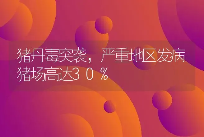 猪丹毒突袭，严重地区发病猪场高达30% | 兽医知识大全