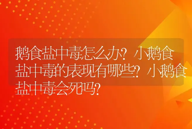 鹅食盐中毒怎么办？小鹅食盐中毒的表现有哪些？小鹅食盐中毒会死吗？ | 兽医知识大全