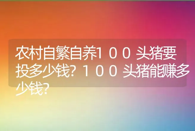 农村自繁自养100头猪要投多少钱？100头猪能赚多少钱？ | 养殖致富