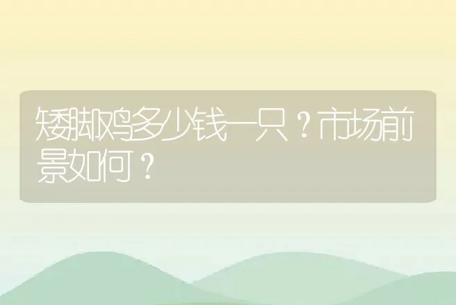 矮脚鸡多少钱一只？市场前景如何？ | 动物养殖