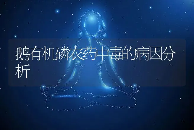 鹅有机磷农药中毒的病因分析 | 家禽养殖