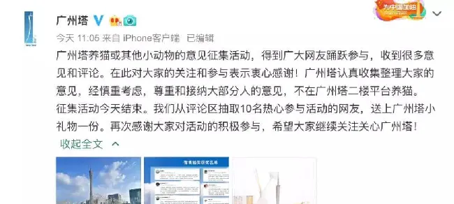 广州塔想模仿故宫靠养猫蹭流量，这事儿行得通吗！ | 宠物新闻资讯