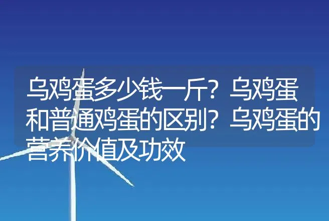 乌鸡蛋多少钱一斤？乌鸡蛋和普通鸡蛋的区别？乌鸡蛋的营养价值及功效 | 动物养殖