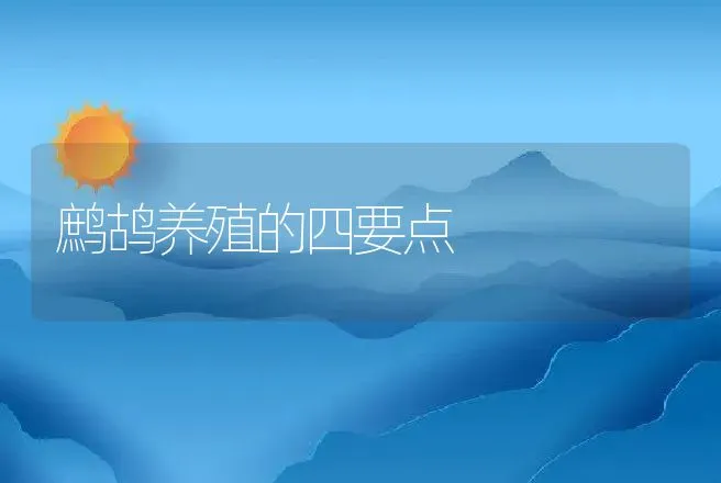 鹧鸪养殖的四要点 | 动物养殖