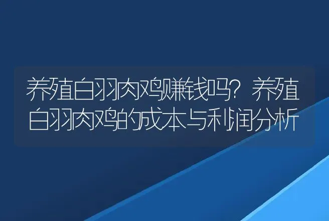 养殖白羽肉鸡赚钱吗？养殖白羽肉鸡的成本与利润分析 | 家禽养殖