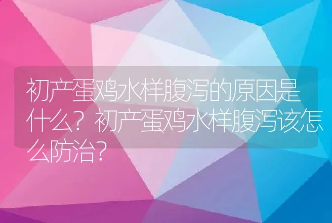 初产蛋鸡水样腹泻的原因是什么？初产蛋鸡水样腹泻该怎么防治？ | 兽医知识大全