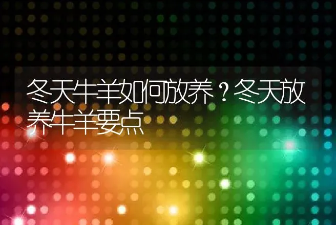 冬天牛羊如何放养？冬天放养牛羊要点 | 家畜养殖