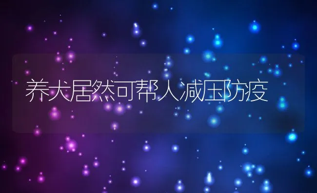 养犬居然可帮人减压防疫 | 宠物病虫害