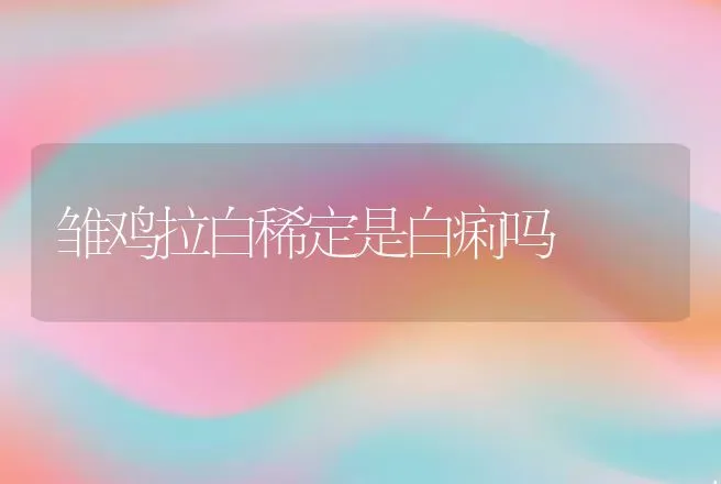 雏鸡拉白稀定是白痢吗 | 动物养殖