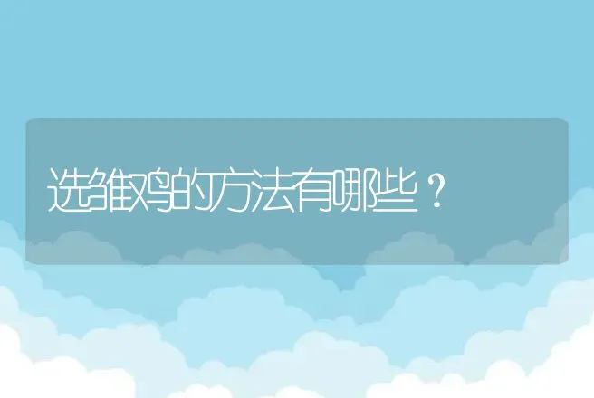 选雏鸡的方法有哪些？ | 家禽养殖