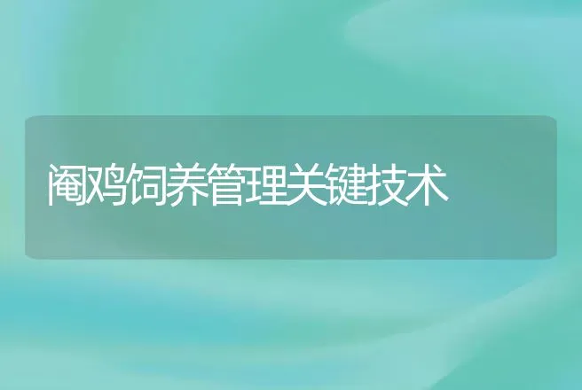 阉鸡饲养管理关键技术 | 动物养殖